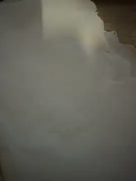 gokhanbey34 online show from 03-17-26, 11:41