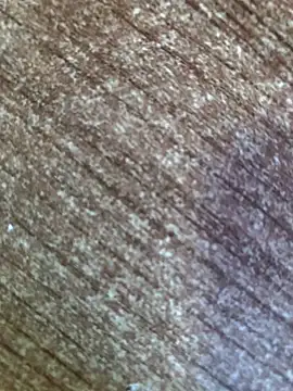 gokhanbey34 online show from 10-12-25, 07:43