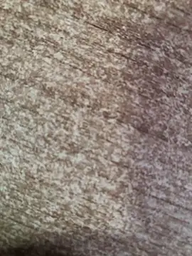 gokhanbey34 online show from 10-08-25, 02:40