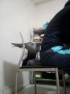 ksshp9502 online show from 11-04-25, 03:38