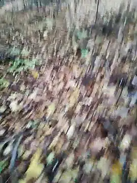 Snapshot of Eln1no69 chatting on 10-21-25, 02:27 Eln1no69 online show from 10-21-25, 02:27