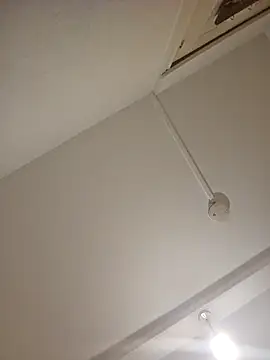 mario890605 online show from 12-21-24, 09:36