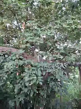 Rinku5553 online show from 09-26-25, 02:07