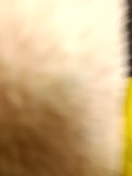 yellowwetfox online show from 03-22-26, 10:55