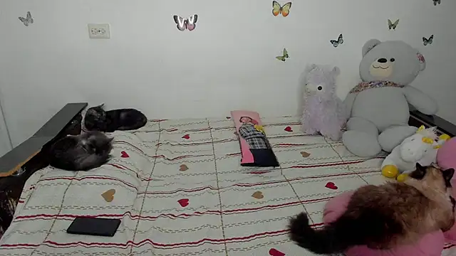 NataliEvans online show from 04-12-26, 06:22