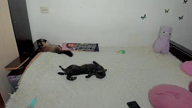 NataliEvans online show from 06-18-26, 10:15