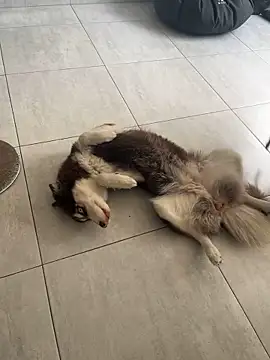 cutesarah  online show from 01-26-25, 04:30