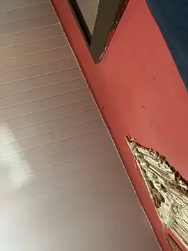 Snapshot of pimenta_gaby chatting on 10-18-25, 01:02 pimenta gaby online show from 10-18-25, 01:02