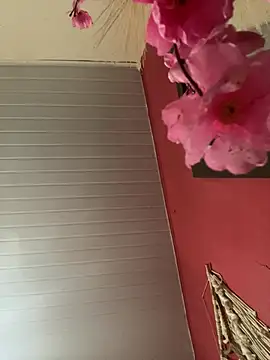 pimenta gaby online show from 04-17-26, 03:37