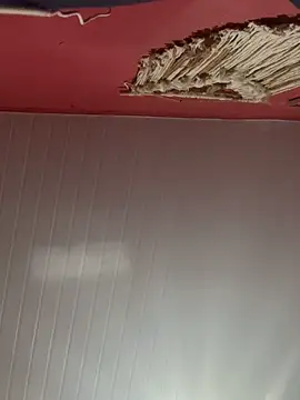 Snapshot of pimenta_gaby chatting on 10-28-25, 11:20 pimenta gaby online show from 10-28-25, 11:20