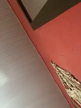 Snapshot of pimenta_gaby chatting on 11-04-25, 11:03 pimenta gaby online show from 11-04-25, 11:03