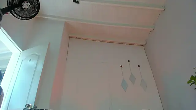 Snapshot of swt-booty chatting on 10-18-25, 04:31 swt-booty online show from 10-18-25, 04:31