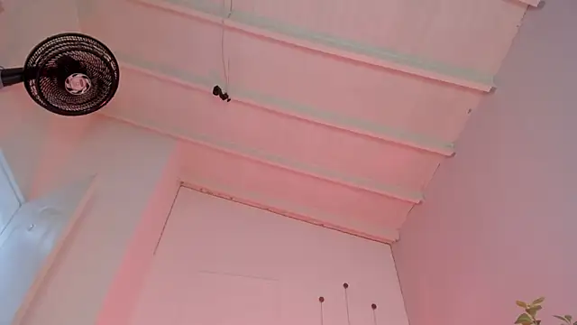 Snapshot of swt-booty chatting on 11-19-25, 06:52 swt-booty online show from 11-19-25, 06:52