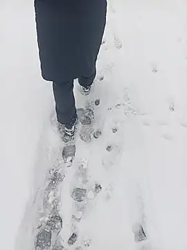 Saysomething3 online show from 01-11-26, 07:59