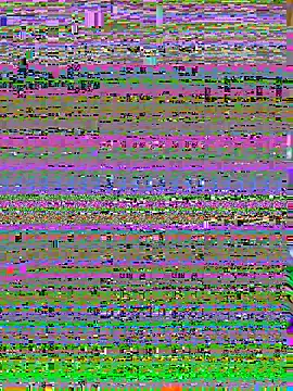 Snapshot of Ppramodya1991 chatting on 03-09-26, 11:03 Ppramodya1991 online show from 03-09-26, 11:03