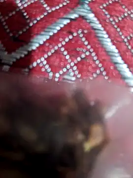 Snapshot of XBHUUME chatting on 02-01-25, 10:59 XBHUUME online show from 02-01-25, 10:59