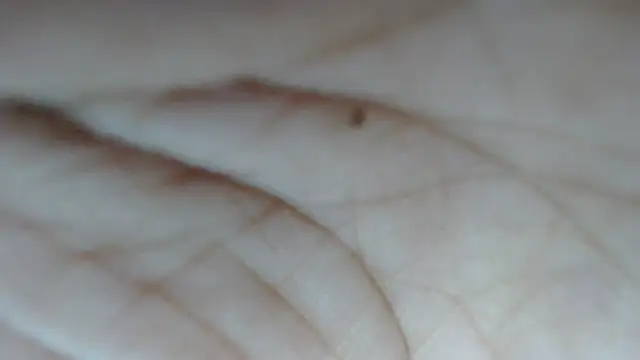 Snapshot of swt_shadow chatting on 02-15-26, 08:08 swt shadow online show from 02-15-26, 08:08