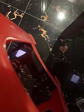 Snapshot of SkyMagKing chatting on 11-22-25, 07:24 SkyMagKing online show from 11-22-25, 07:24