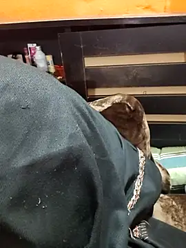 Diya 143 online show from 01-12-26, 06:36