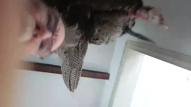 Snapshot of CDforU chatting on 02-04-26, 05:52 CDforU online show from 02-04-26, 05:52