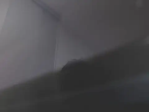 violetasweet11 online show from 02-19-26, 07:05