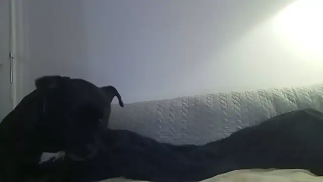 Elosexxy online show from 09-24-25, 07:09