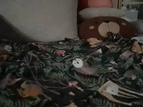 Snapshot of Perwers_41 chatting on 11-02-25, 02:22 Perwers 41 online show from 11-02-25, 02:22