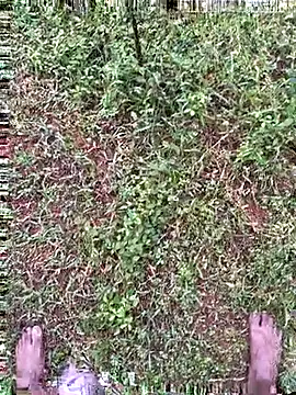 Gopal1243 online show from 10-27-25, 01:39