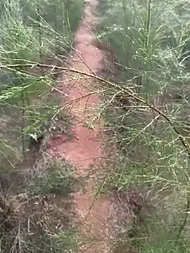 Gopal1243 online show from 12-14-24, 02:00