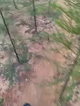 Gopal1243 online show from 01-19-25, 01:53