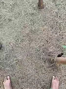 Gopal1243 online show from 02-26-25, 02:19