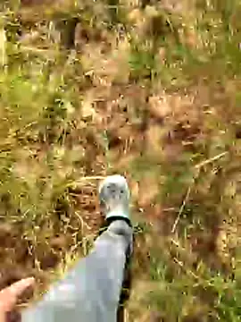 Gopal1243 online show from 01-07-26, 07:57