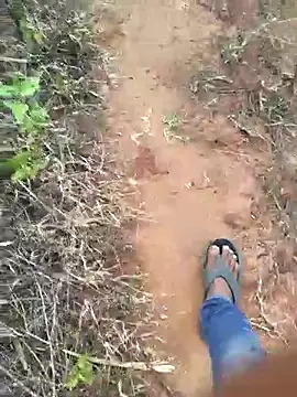 Gopal1243 online show from 03-01-25, 01:22