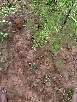 Gopal1243 online show from 12-09-24, 03:29