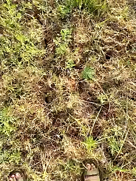 Gopal1243 online show from 03-23-25, 02:15