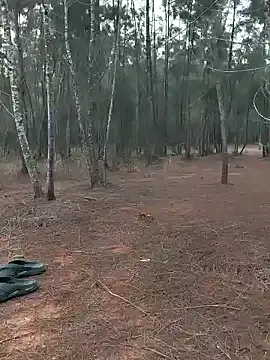 Gopal1243 online show from 01-20-25, 01:18