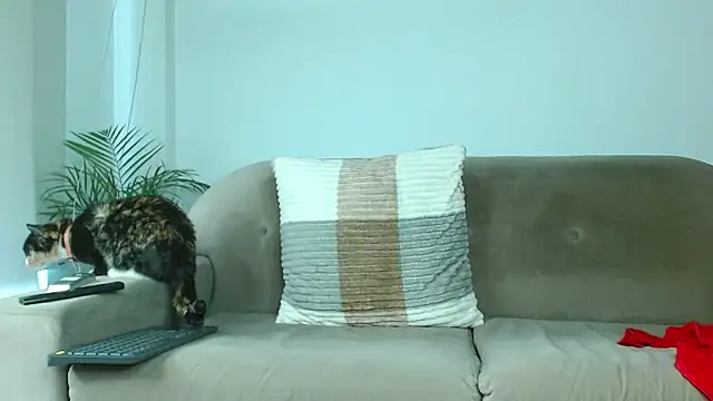 Robyn Miller online show from 10-09-25, 01:00