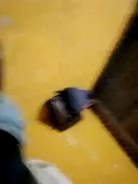 Snapshot of LULE37587001 chatting on 11-16-25, 08:46 LULE37587001 online show from 11-16-25, 08:46