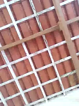 Peludo173317 online show from 03-11-25, 05:02