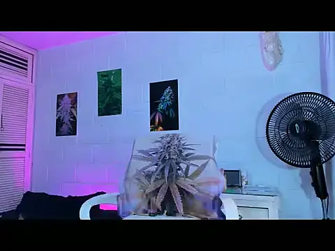 drippyorlovee online show from 02-11-26, 07:58