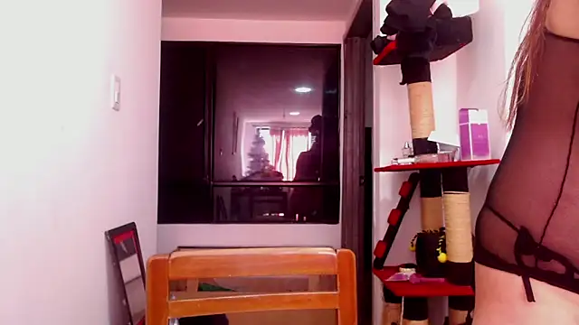 karinasodi 1 online show from 12-03-25, 08:08