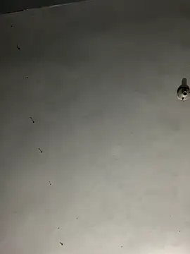 JayJayRod online show from 11-01-25, 06:08