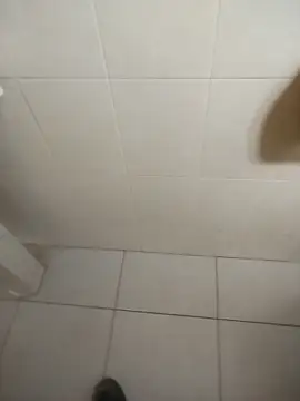 sagrado 1989 online show from 02-16-26, 12:20