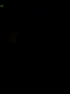 000002m online show from 10-26-25, 06:36
