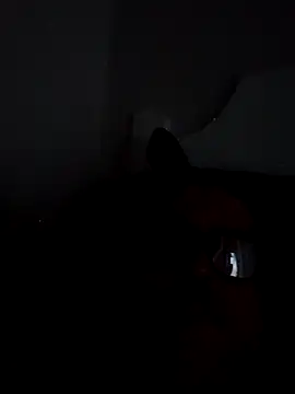 BocaElite online show from 04-26-26, 11:51