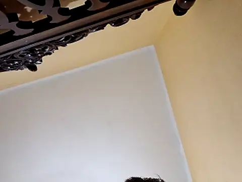 White rabbit  online show from 10-29-25, 09:58