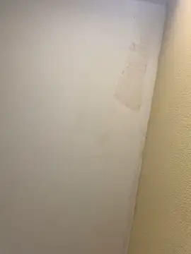 pinkangell online show from 11-02-25, 07:41