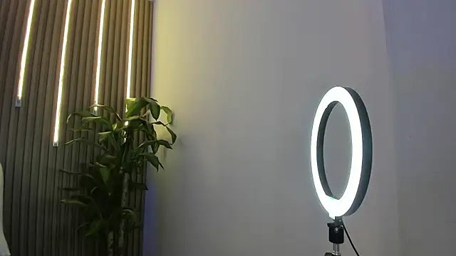 perla7777 online show from 02-03-26, 02:00