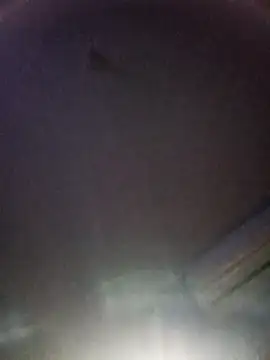 sore-mexico-chiapas online show from 03-10-26, 12:09