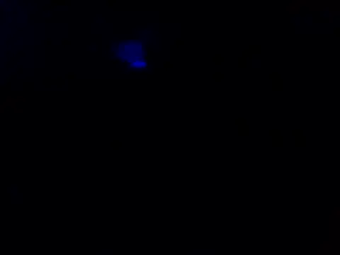 82liska online show from 06-14-26, 02:24